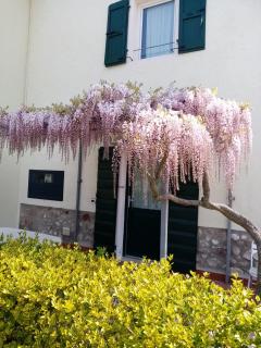 Agriturismo Ca' Castellani - Bardolino - 1