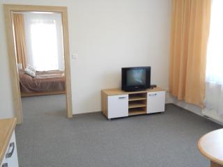 Apartmány Vila Juraj - Trenčianske Teplice - 4