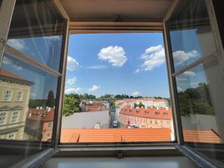 White Swan Boutique Apartments - Prague - 7