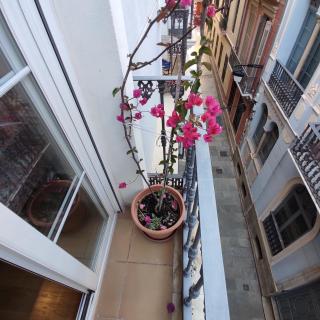 Málaga Centro - Málaga - 5