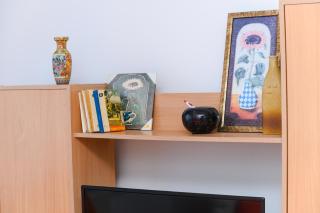Apartmani Suza - Soko Banja - 1