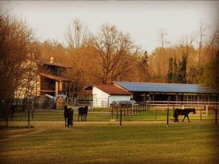 Cameloth B&B - Settimo Rottaro - 0