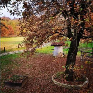 Cameloth B&B - Settimo Rottaro - 3