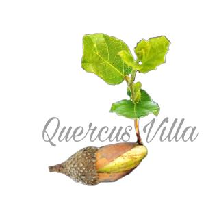 Quercus Villa - Sesimbra - 5