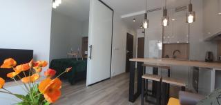 Apartament Green Diamond Rakowicka - 9