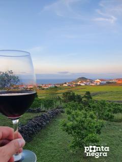 Charming Country House by Ponta Negra Azores - Altares - 6