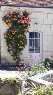Le Gîte des Marguerites - Montrichard - 4