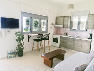 Stavi's Guesthouse - Míloi - 3
