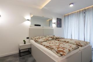 Deluxe Feliciano Apartments - Visoko - 2