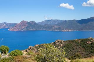 Résidence de la Tour - Piana - 0