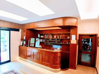 Hotel Carancini - Salsomaggiore Terme - 9