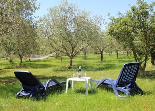 Oliven Garden - Rovinj - 7