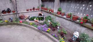 Guest House Kukera - Pavel Banya - 6