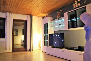Die Panorama-Wohnung-im-Grünem - Allensbach - 5