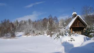 Ferienwohnungen Bauer - Auszeit mit Ausblick - 3