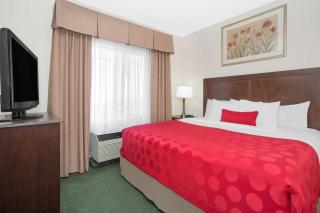 Ramada by Wyndham Denver International Airport - 3