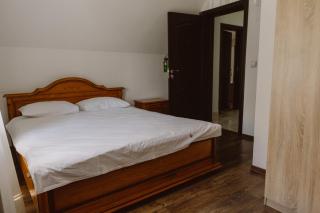 Vila Alsace Podu' cu Lanturi - Bacău - 4