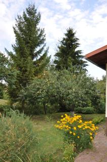 Dom na Mazurach ,, Agroturystyka pod Gruszą '' - 7