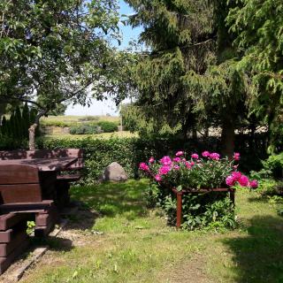 Dom na Mazurach ,, Agroturystyka pod Gruszą '' - Ładne Pole - 3