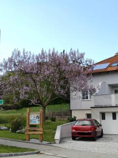 Ferienwohnung Familie Stuhr - 2