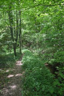 Le Moulin de Chatillon - 7