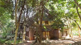 Greenfire Hazyview Lodge - Hazyview - 8