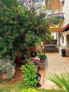 Purple_Rose_Apartment - Hanioti - 7