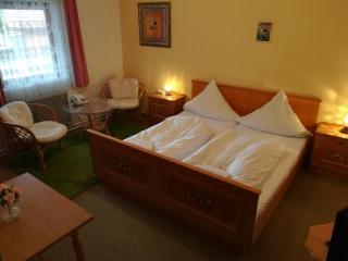 Hotel Waldhaus - Bodenmais - 5