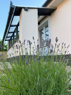 Lavender Garden Apartment - Debrecen - 5