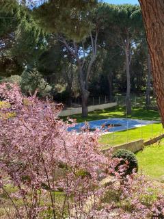 Apt Romántico con chimenea con Fibra óptica y terraza - San Martín de Valdeiglesias - 6
