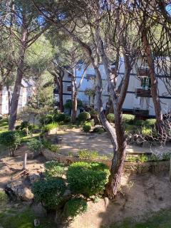 Apt Romántico con chimenea con Fibra óptica y terraza - San Martín de Valdeiglesias - 4