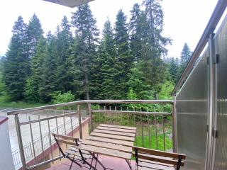 Deluxe 217 - Borovets - 1