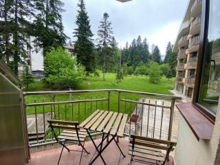 Deluxe 206 - Borovets - 2