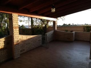 Paradiso House - 8