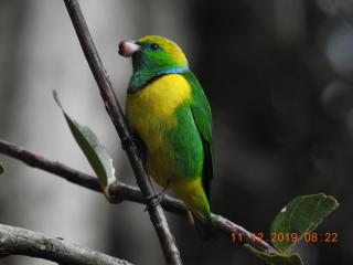 Miriam'S Quetzals lodge - 1