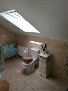 Wild Atlantic Lodge Bed & Breakfast - Lahinch - 7