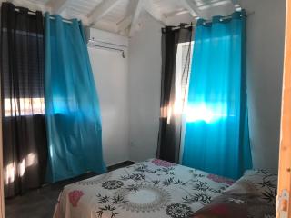 YOLANDA HIBISCUS - 1