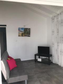 YOLANDA HIBISCUS - 3