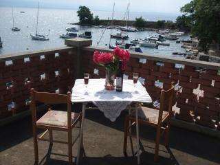 Apartment in Ika with sea view, terrace, air conditioning, WiFi (3699-2) - Ika - 0