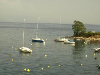 Apartment in Ika with sea view, terrace, air conditioning, WiFi (3699-2) - Ika - 5