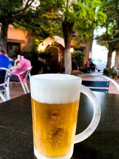 Hotel Suiza - Bronchales - 9