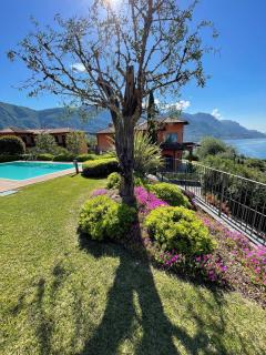 Maison Casa Lavanda - Bellagio - 5