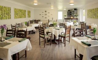 Hillgrove Guesthouse - Dingle - 2