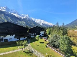 Chamonix superbe appartement vue Mont Blanc - Chamonix-Mont-Blanc - 1