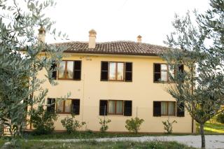 Agriturismo San Marco - Montefalco - 1