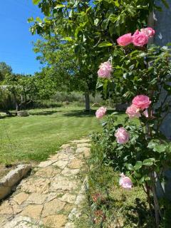 Agriturismo La Casa dei Ricordi - Collesalvetti - 2
