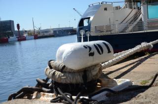 Appartement Cosy proche Bord de Mer - 1