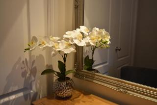 Brampton Luxury Annexe Apartment - 4