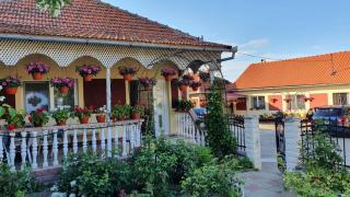 La Mosu-n Retezat - Nucşoara - 9
