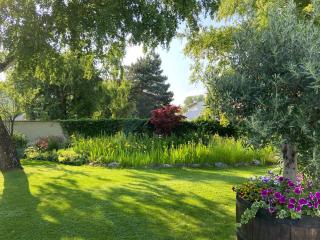 Pension Schmidt - Podersdorf am See - 9